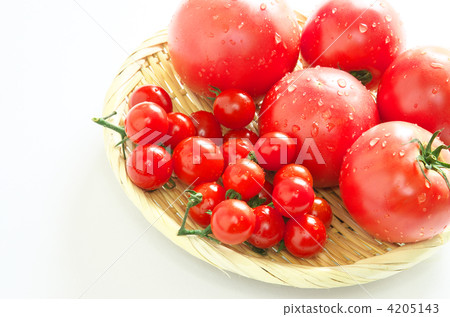 Tomato   4205143