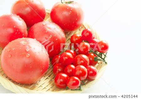 Tomato   4205144