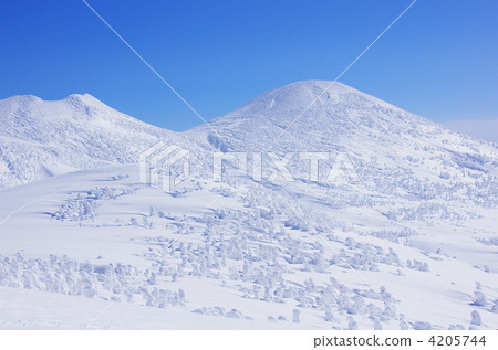 雪山 八甲田 休閒 4205744