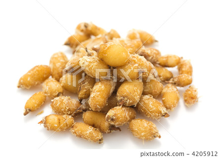 Sagisou的球 Sagisou的球 4205912