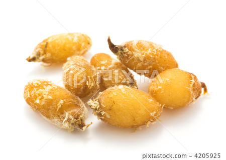 Sagisou的球 Sagisou的球 4205925