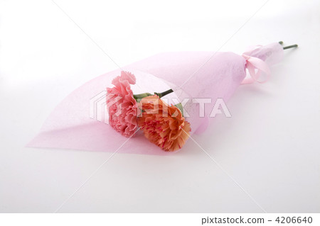 Mother's Day image Carnation bouquet 4206640