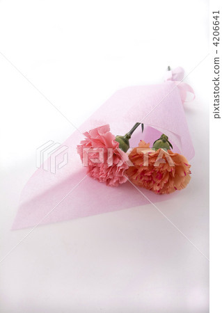 Mother's Day image Carnation bouquet 4206641