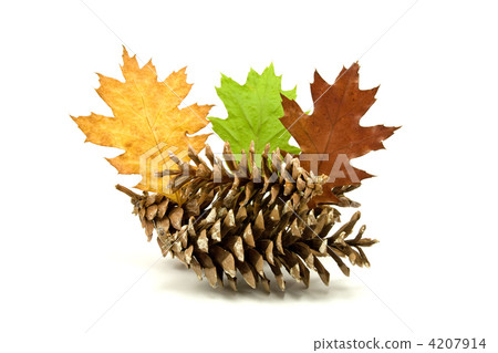 autumnal decoration 4207914