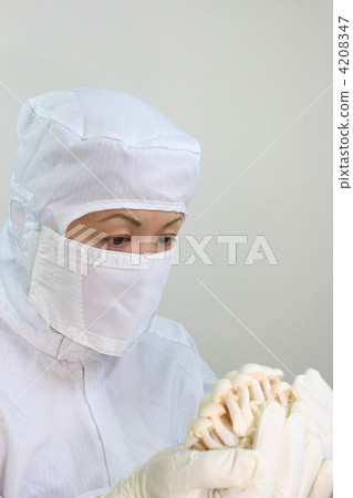 蘑菇不育栽培 蘑菇不育栽培 4208347