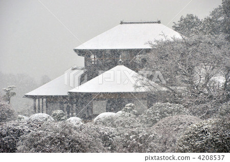 雪最喜歡的Tei 雪最喜歡的Tei 4208537