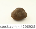 Tamba potato 4208928