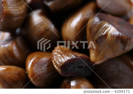 浸泡過的醬油大蒜 浸泡過的醬油大蒜 4209171