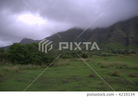 Movie location such as Jellasic Park Movie location such as Jellasic Park 4210134