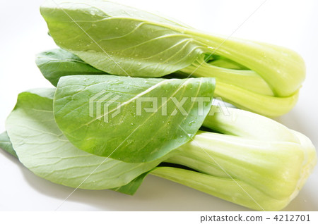 一個理解 4212701