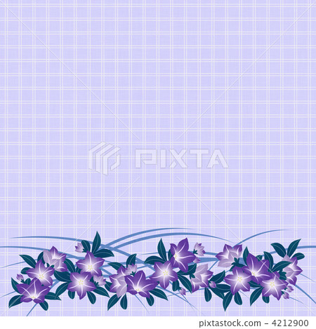 中國桔梗 中國桔梗 4212900