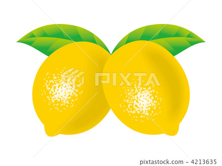 Lemon  4213635