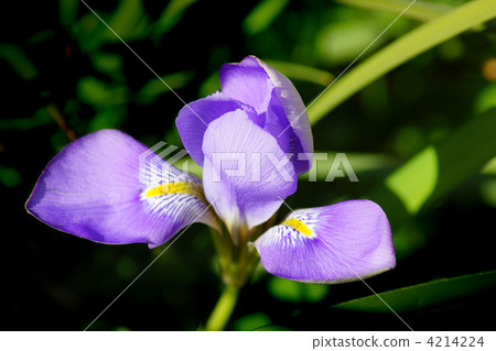 天氣寒冷 4214224