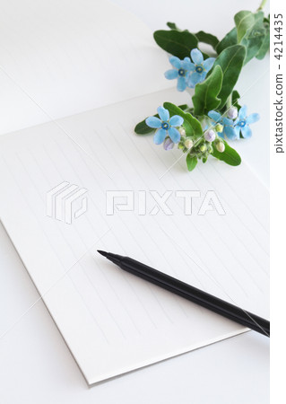 Stationery and blue flowers 4214435