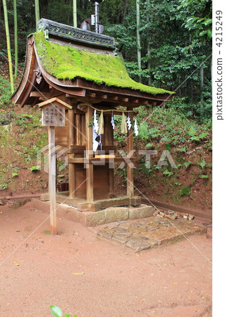 京都·宇治神社 4215249