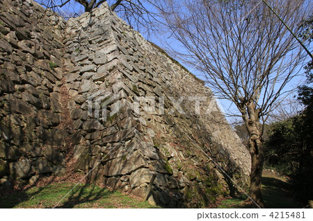 Hikone Castle / Wearing Observatory Hikone Castle / Wearing Observatory 4215481