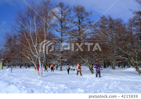 Cross-country skiing Cross-country skiing 4215939