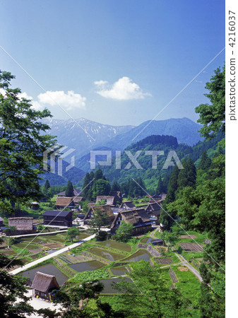 新鮮的綠色流行解決 4216037