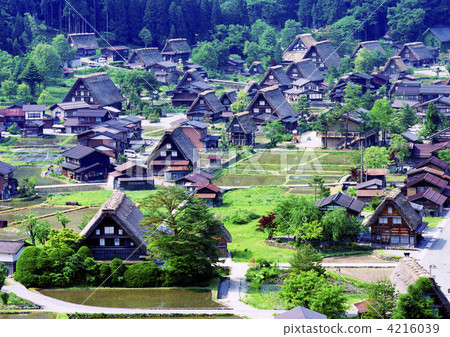 新鮮的綠色Shirakawago 4216039