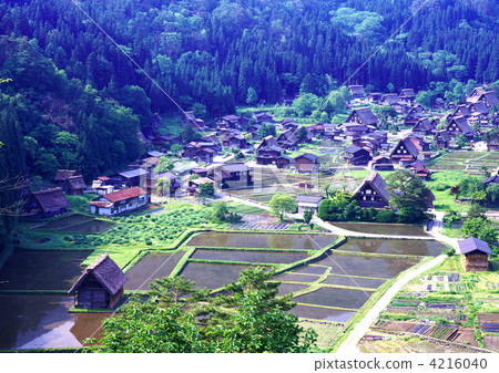 新鮮的綠色Shirakawago 新鮮的綠色Shirakawago 4216040