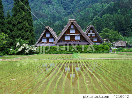 Fresh green Shirakawago Fresh green Shirakawago 4216042