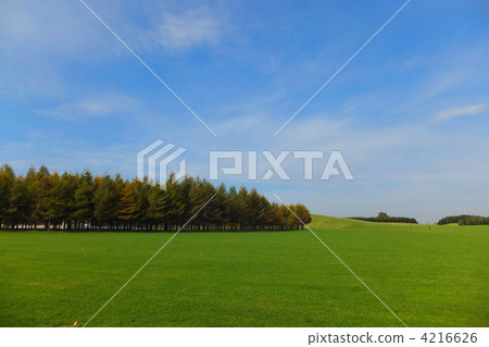 Moerenuma Park Moerenuma Park 4216626