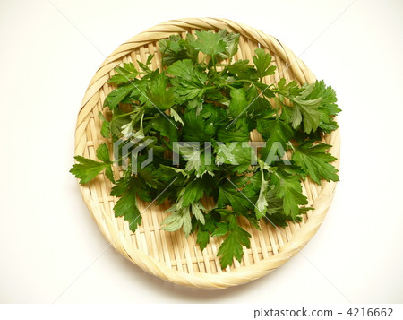 Picked mugwort Picked mugwort 4216662