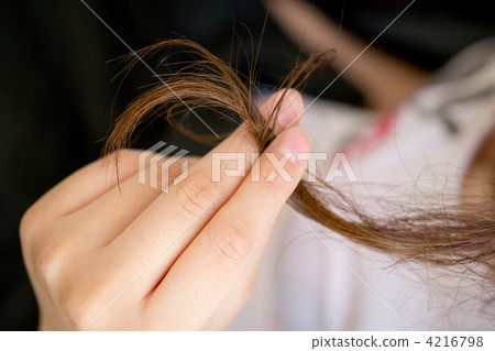 頭髮 髪 髮梢 4216798