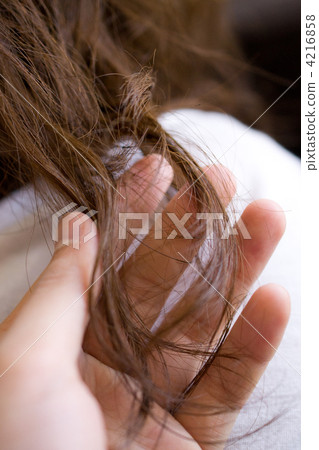 hair, hairs, hair end 4216858