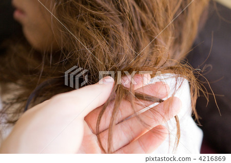 頭髮 髪 受損的頭髮 4216869