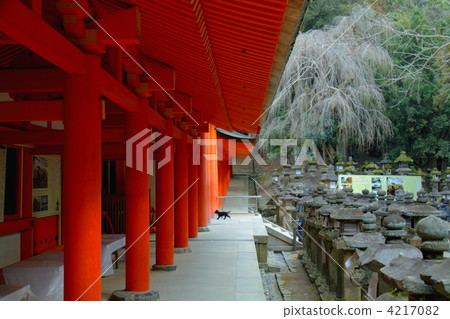 世界遺產 4217082