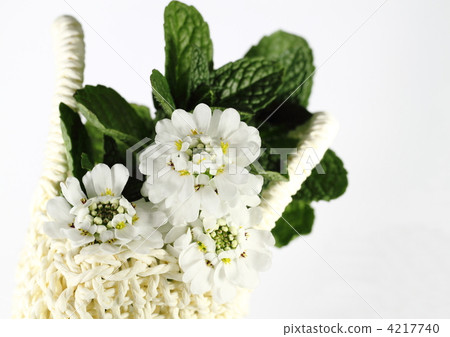 Ibisu's flower garden Ibisu's flower garden 4217740