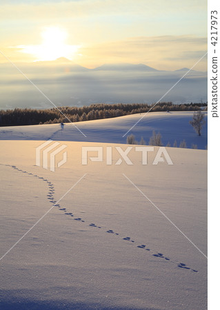 Winter landscape, winter scenery, snow scene 4217973