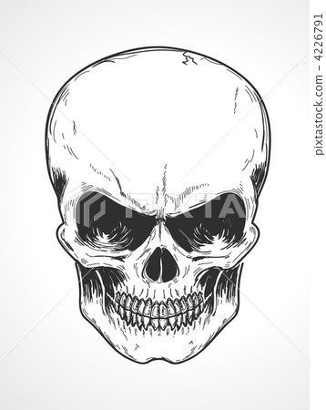 human skull human skull 4226791