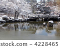 maruyama park, snow scene, kyoto 4228465