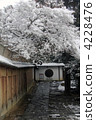 higashiyama approach, nene no michi, fallen snow 4228476