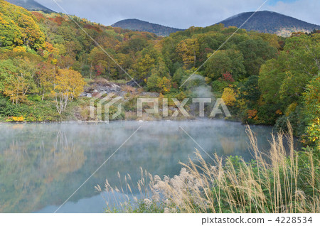 一座墓地 一座墓地 4228534