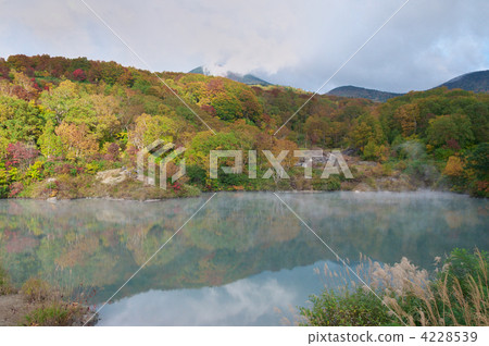 一座墓地 4228539