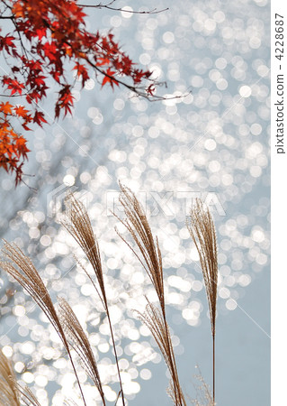 Fall melody 4228687