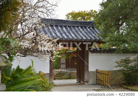 Bairin Temple 4229080