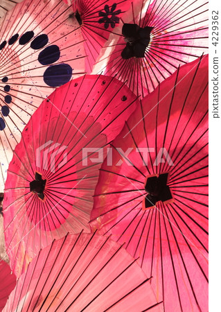 日本傘 熊本縣 海卡海粟賽 4229362