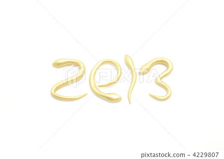 Year 2013 Year 2013 4229807