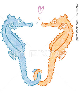 sea horse, sea-horse, seahorse 4230267