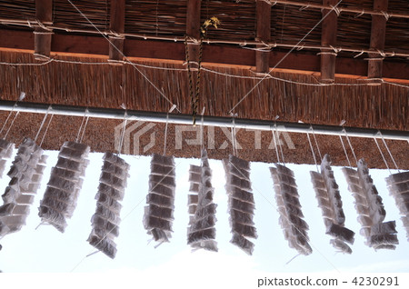 stains have, house frontage, tatsunomachi 4230291