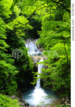 西澤谷Nanatsukan 5階段瀑布 西澤谷Nanatsukan 5階段瀑布 4230786