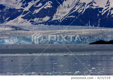Hubbard Glacier 4232539