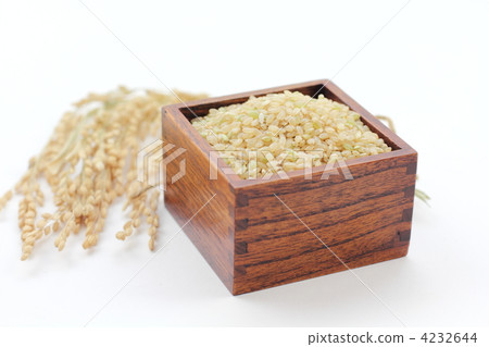 Brown rice 4232644