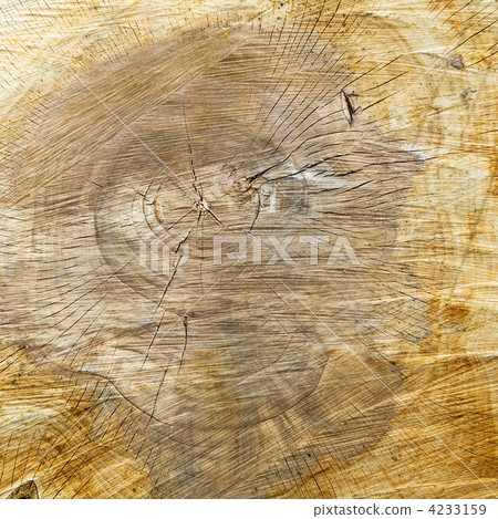 Wooden texture Wooden texture 4233159