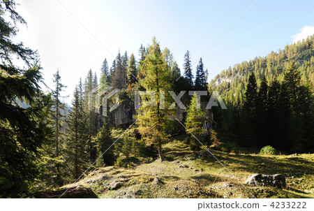 nature, natural, naturals 4233222