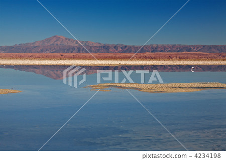 Laguna Chaxa in Salar de Atcama, Chile Laguna Chaxa in Salar de Atcama, Chile 4234198